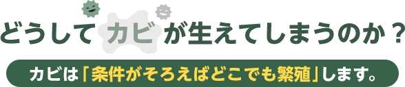 どうしてカビが生えてしまうのか？