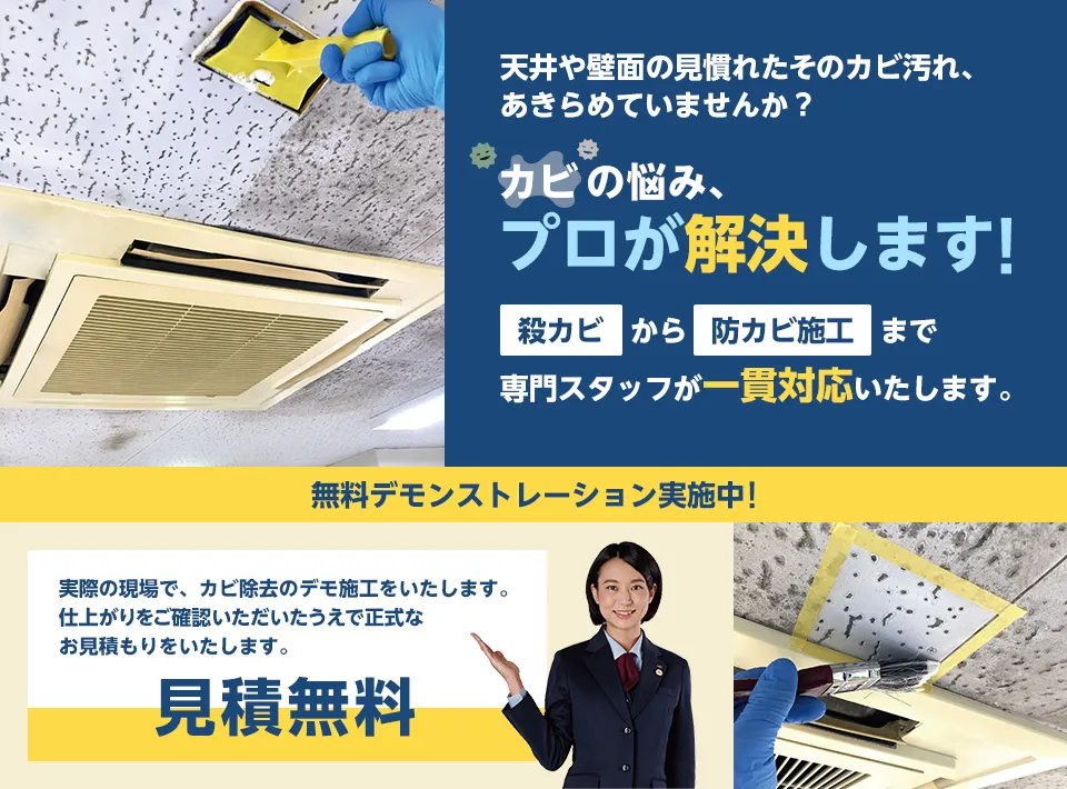カビの悩み、プロが解決します！