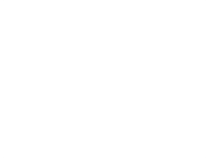 120日