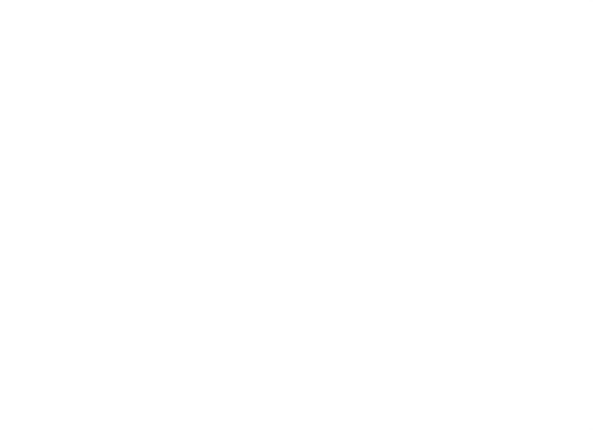 120日
