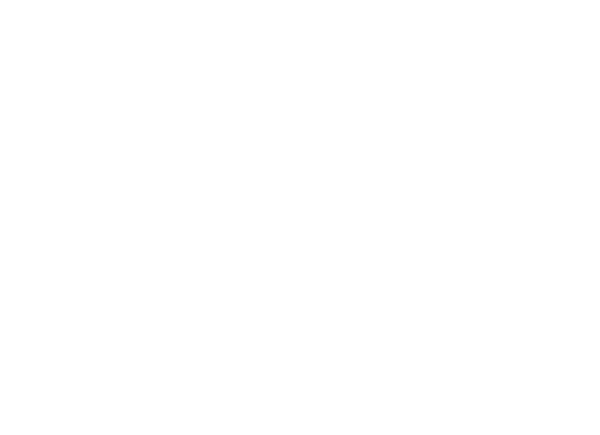 120日