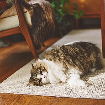 アタック950NE ソフトループネオ | 【ご家庭向け】タイルカーペット