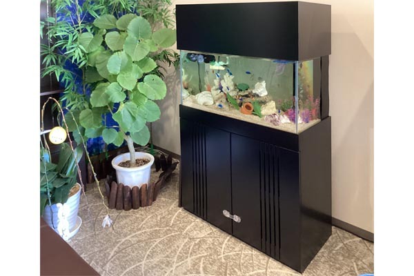 海水魚水槽